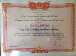 Chủ tịch phòng thương mại và công nghiệp Việt Nam tặng Bằng khen cho tập thể và cá nhân của Công ty